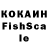Галлюциногенные грибы Psilocybe Ramzia Koshkina