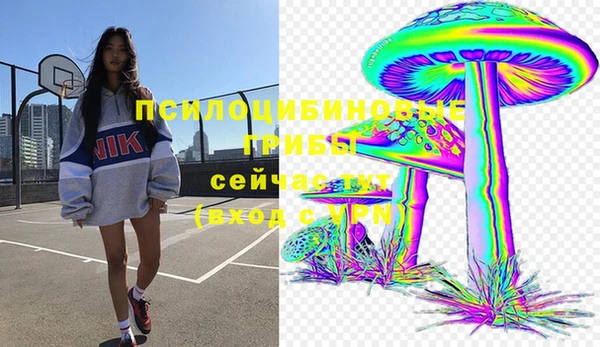 прущая мука Михайлов