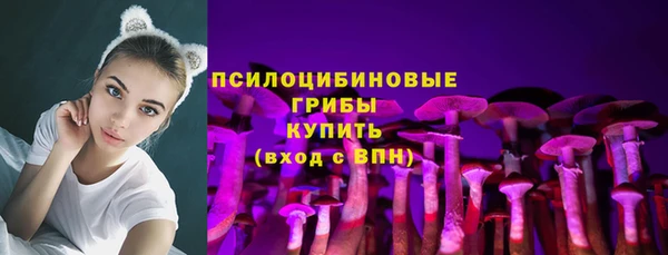 прущая мука Михайлов