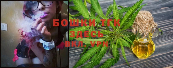 прущая мука Михайлов