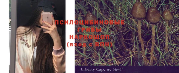 прущая мука Михайлов